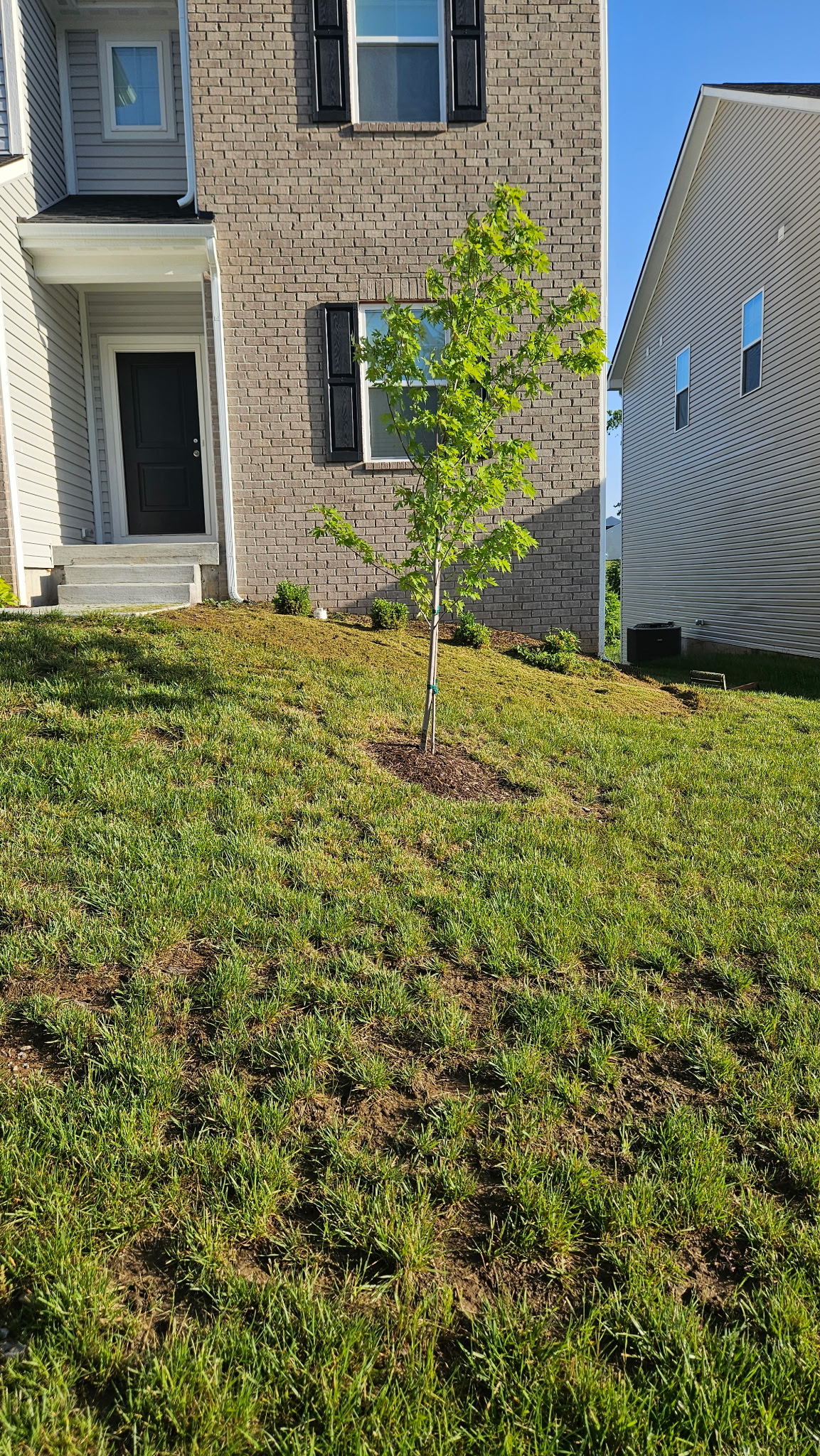 Pool deck with custom railings